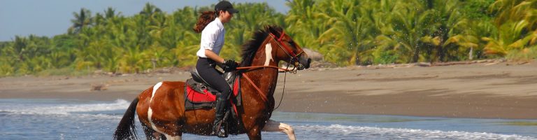 The Riding Adventure Costa Rica Horseback Riding Tours